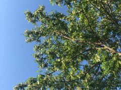 -潮福城大酒楼(二环东路店)