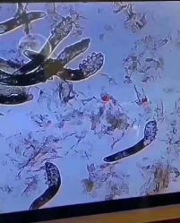 -痘敏医生专业祛痘连锁