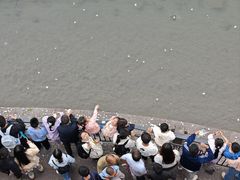 -中国宜宾·长江地标广场