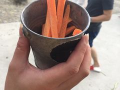 -鹿境梅花鹿生态园区