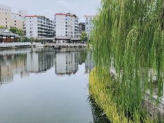 -孺子亭公园