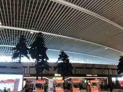 -青岛胶东国际机场