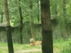 -北京野生动物园