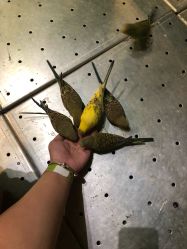 -酷嗒动物文化乐园(cutezoo西溪乐天城店)