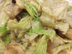 手撕圆白菜-九头鸟酒家(四道口店)