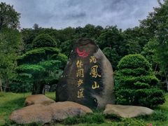 -飞凤山奥体公园