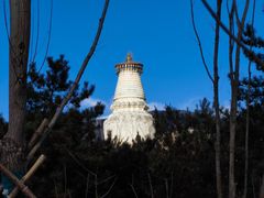 -五台山风景区