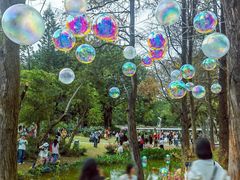 -人民公园(罗湖区)