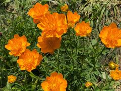 -白草畔自然风景区