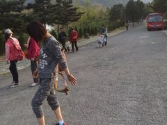 -沂蒙山旅游区云蒙景区(蒙山国家森林公园)