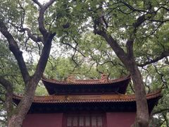 -普陀山风景名胜区-法雨禅寺