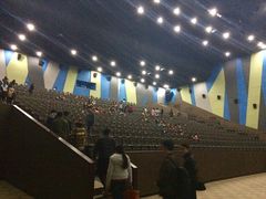 -天幕新彩云国际影城(激光巨幕店)