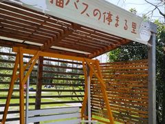 -前小桔亲子创意农场·草莓采摘·露营烧烤