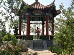 android_upload_pic-大港湿地公园