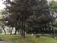 -望湖公园