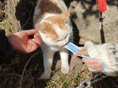 -终南山南五台景区