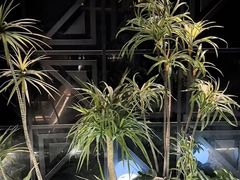 -华夏良子·足道SPA艾灸(金皇大厦店)