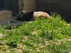 -石家庄市动物园