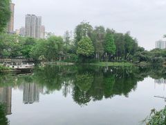 -晓港公园
