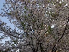 -新天地活力PARK