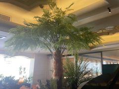 -良木缘咖啡西餐(优品道广场店)