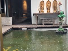 -觀芷隐轩