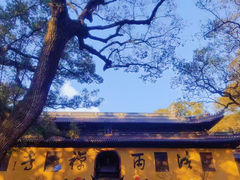 -普陀山风景名胜区-法雨禅寺