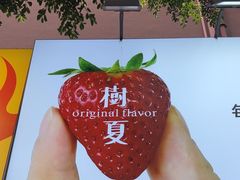 -树夏(建设路店)