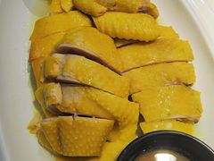 招牌沙姜鸡-日昌餐馆(Mini西点茂店)