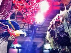范设计咖啡-范设计花园餐酒咖·中西餐·咖啡厅·酒馆