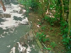 -乌鲁瓦图寺