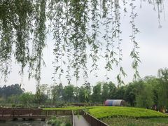 -天府芙蓉园