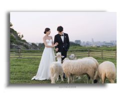 -花漾摄影优选工作室(东莞原创作品店)