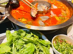-不老溪贵州菜(广安门总店)