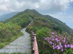 -大围山国家森林公园