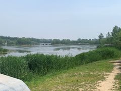 -马家湾湿地公园