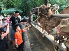 -海南热带野生动植物园