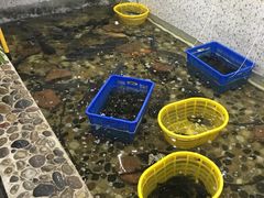 -白洋淀灶台鱼(名佳花园店)
