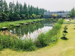 -前小桔亲子创意农场·草莓采摘·露营烧烤