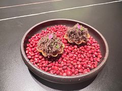 -觀芷隐轩