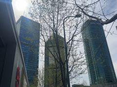 -震旦国际大楼