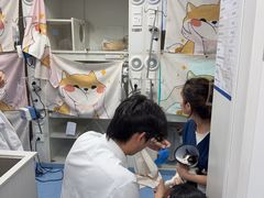 -博特宠物医院24h犬猫全科.骨科·异宠