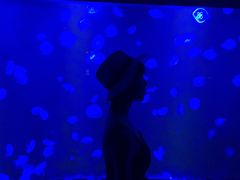-暹罗海洋世界