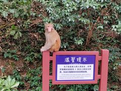 -黔灵山公园-南门售票处