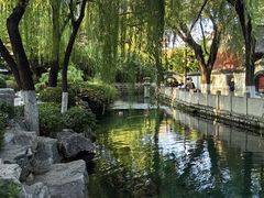 -趵突泉景区