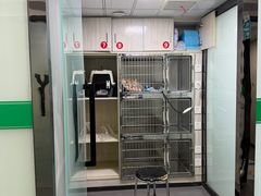 -半岛宠物医院24小时(科华中路店)