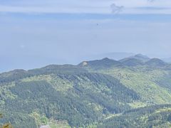 -武陵山森林公园