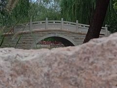 -北坞公园