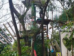 -芦仙山景区-飞越丛林探险乐园