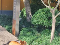 -龙华寺